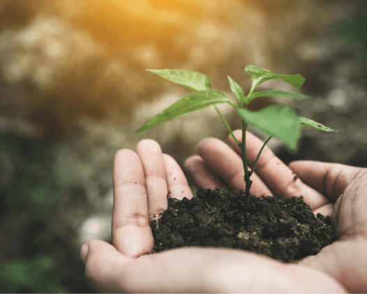 Corporate Responsibility