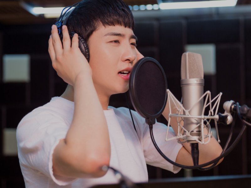 Professional Audio and Speaker